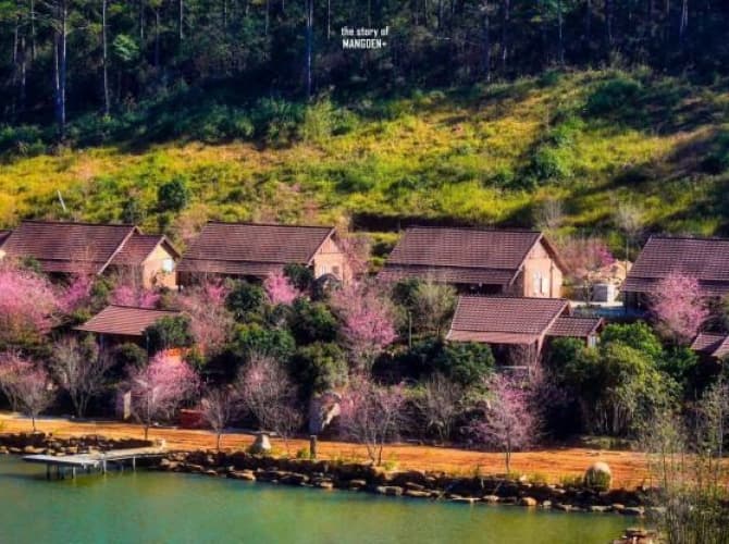 Tour Măng Đen 2 ngày 1 đêm đi bằng máy bay khởi hành từ TP.HCM - ảnh 3