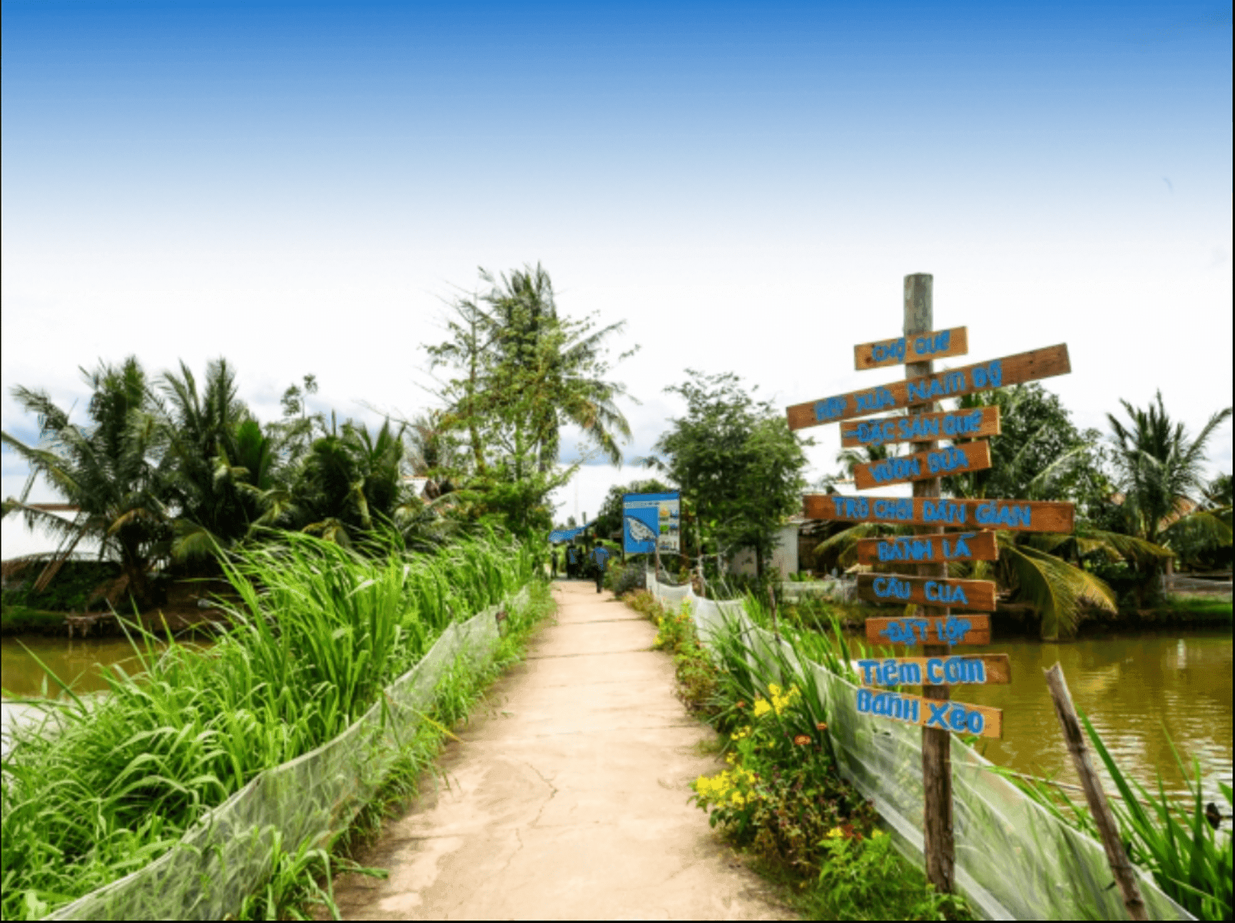 Tour Phan Thiết 2N1D - ảnh 2