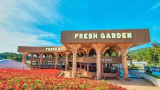  Thánh địa sống ảo triệu like Fresh Garden