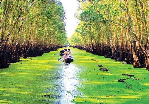 TOUR CHÂU ĐỐC - RỪNG TRÀM TRÀ SƯ 1 NGÀY KHỞI HÀNH TỪ CẦN THƠ
