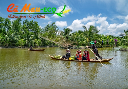 TOUR KHU DU LỊCH SINH THÁI CÀ MAU ECO 1 NGÀY 
