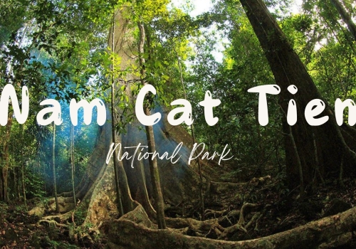 Tour Nam Cát Tiên 2 ngày 1 đêm khởi hành từ Thành phố Hồ Chí Minh