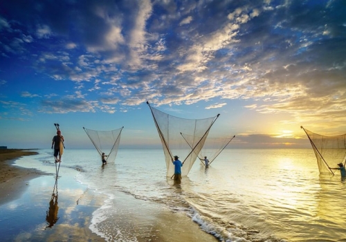 TOUR TRÀ VINH - CỒN CHIM - CỒN HÔ - TOUR ĐÈN DẦU 2N1Đ