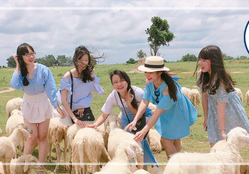 TOUR BÌNH CHÂU - HỒ CỐC - VŨNG TÀU 3N2Đ