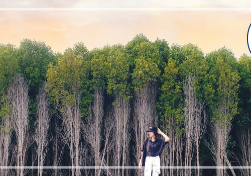 Tour Cần Giờ 1 ngày