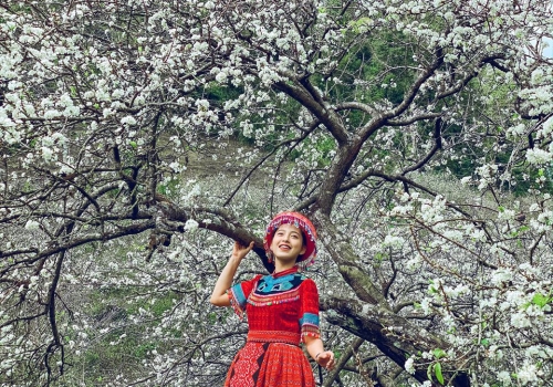 TOUR MỘC CHÂU - MAI CHÂU 3 NGÀY 2 ĐÊM KHỞI HÀNH TỪ HÀ NỘI