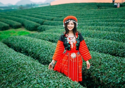 TOUR MỘC CHÂU 3N2Đ KHỞI HÀNH TỪ TP.CẦN THƠ