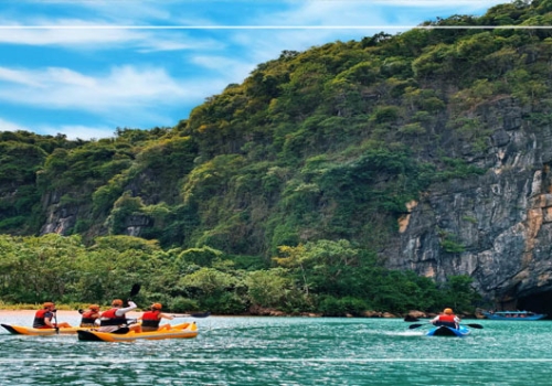 TOUR ĐỘNG PHONG NHA – VŨNG CHÙA – BIỂN ĐÁ NHẢY 1 NGÀY