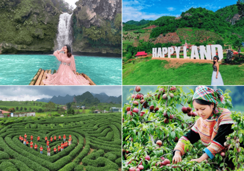 TOUR MỘC CHÂU 2 NGÀY 1 ĐÊM ĐI TỪ HÀ NỘI