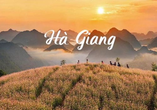 TOUR HÀ GIANG 3 NGÀY 2 ĐÊM KHỞI HÀNH TỪ HÀ NỘI 
