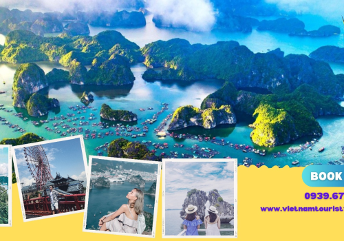 TOUR HẠ LONG 2 NGÀY 1 ĐÊM KHỞI HÀNH TỪ HÀ NỘI 