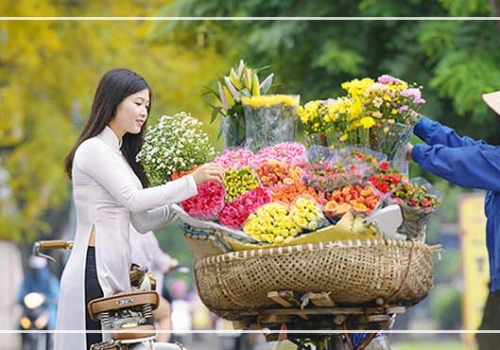 TOUR HÀ NỘI - LÀO CAI - SAPA - FANSIPAN - BA VÀNG - HẠ LONG 