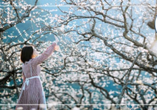 TOUR MỘC CHÂU - MAI CHÂU 3N3Đ