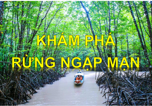 TOUR ĐẤT MŨI CÀ MAU 2N1Đ ĐI TỪ TP.CÀ MAU
