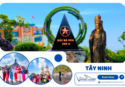 TOUR TÂY NINH 1 NGÀY KHỞI HÀNH TỪ CẦN THƠ