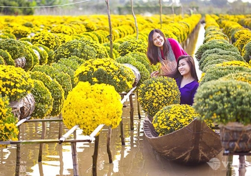 TOUR LÀNG HOA SA ĐÉC - VƯỜN QUÝT HỒNG LAI VUNG 1 NGÀY