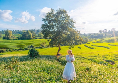 TOUR TÂY NGUYÊN 4N3Đ ĐI BẰNG MÁY BAY