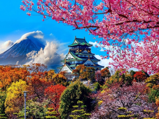 Vietnam Tourist Tân Bình