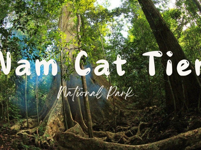 Vietnam Tourist Tân Bình