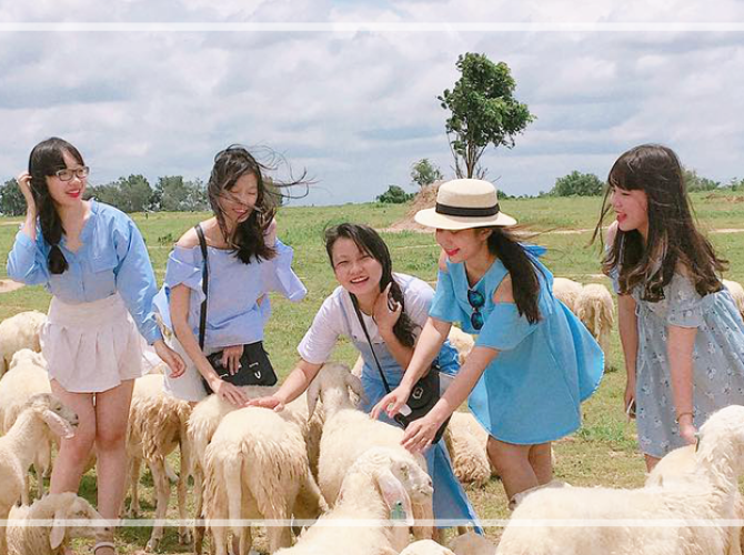 Vietnam Tourist Tân Bình