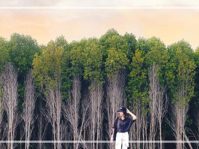 Vietnam Tourist Tân Bình