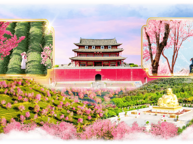 Vietnam Tourist Tân Bình