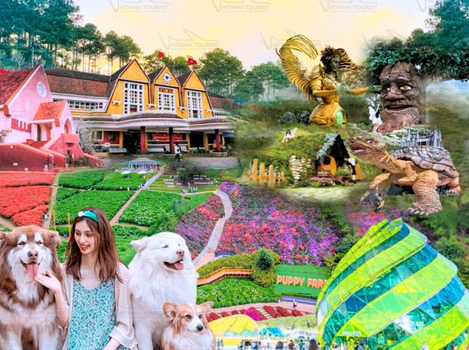 Vietnam Tourist Tân Bình