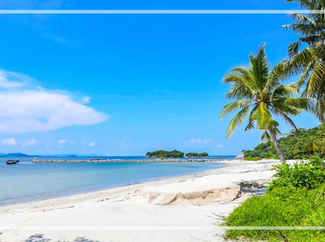 Vietnam Tourist Tân Bình