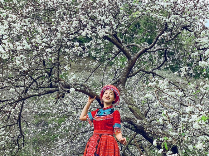 Vietnam Tourist Tân Bình