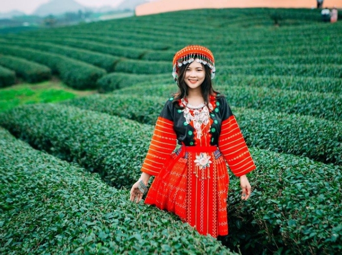 Vietnam Tourist Tân Bình