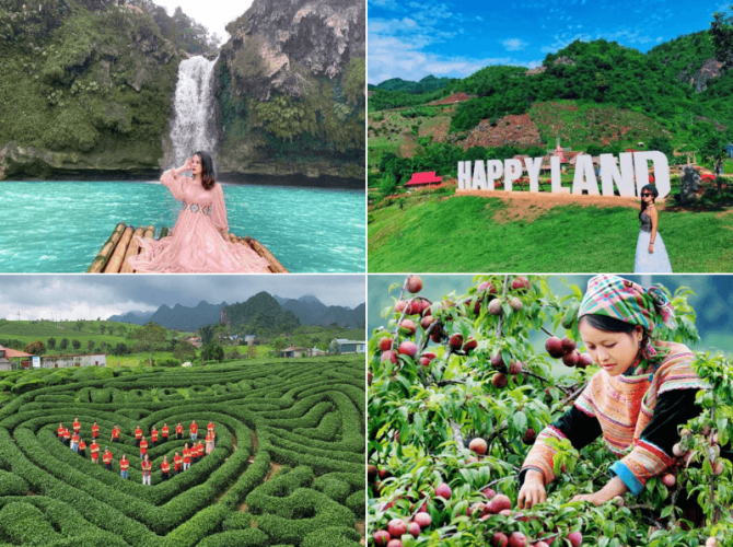 Vietnam Tourist Tân Bình