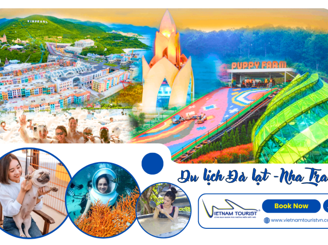 Vietnam Tourist Tân Bình