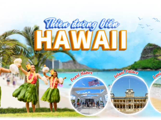 Vietnam Tourist Tân Bình