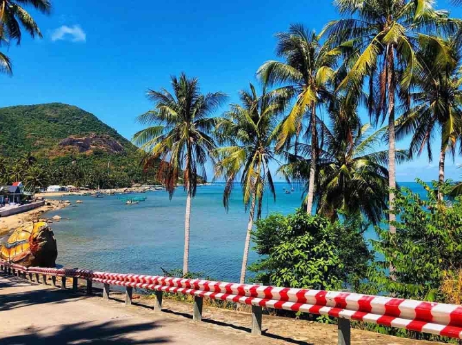 Vietnam Tourist Tân Bình