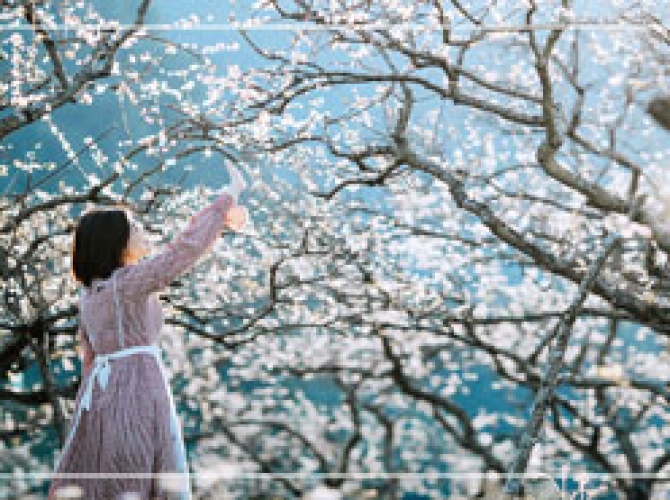 Vietnam Tourist Tân Bình