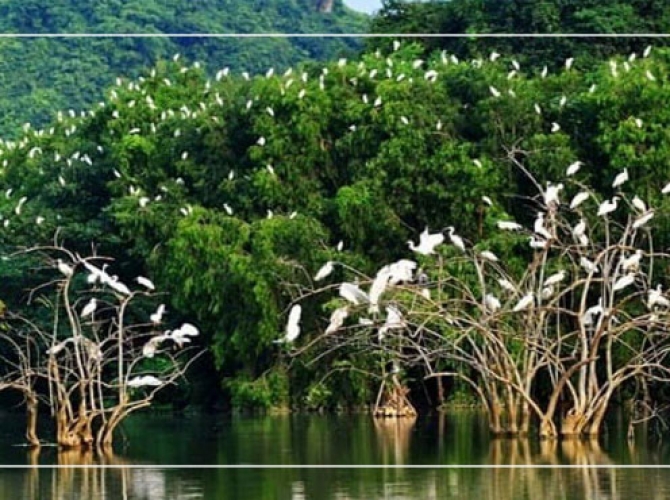 Vietnam Tourist Tân Bình