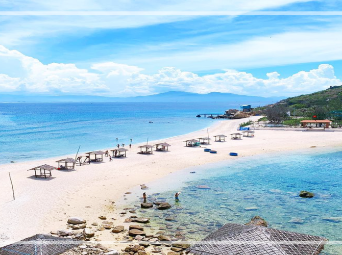 Vietnam Tourist Tân Bình