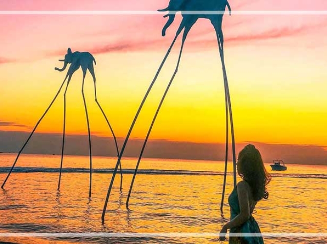 Vietnam Tourist Tân Bình