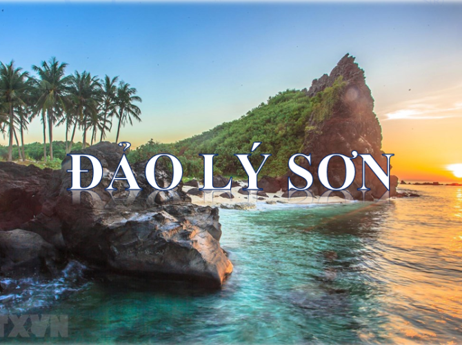 Vietnam Tourist Tân Bình