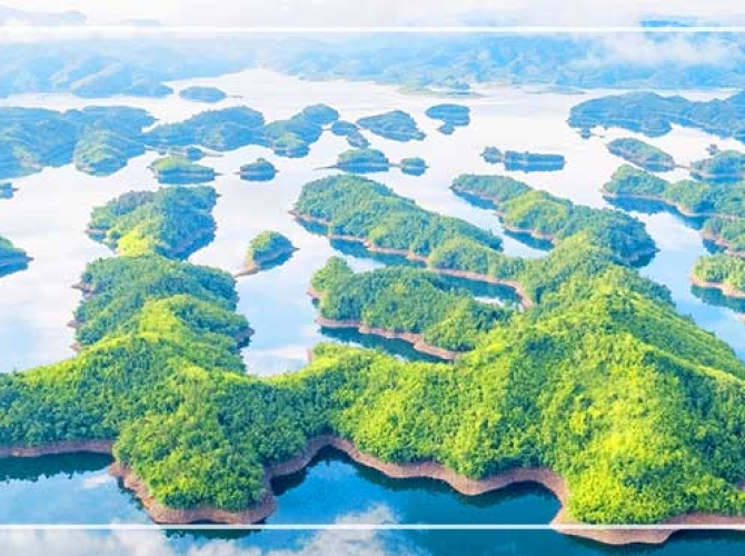 Vietnam Tourist Tân Bình