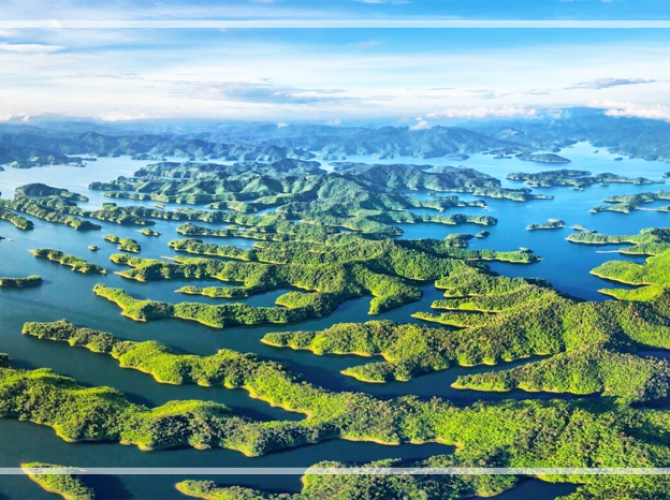 Vietnam Tourist Tân Bình