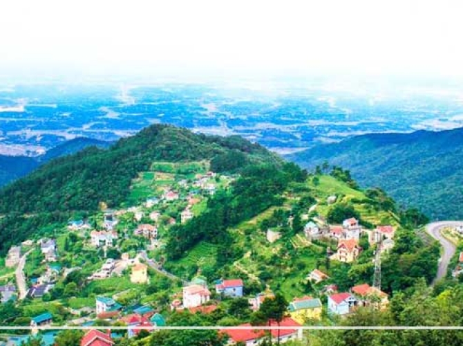 Vietnam Tourist Tân Bình