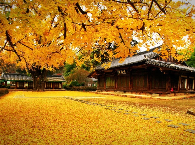 Vietnam Tourist Tân Bình