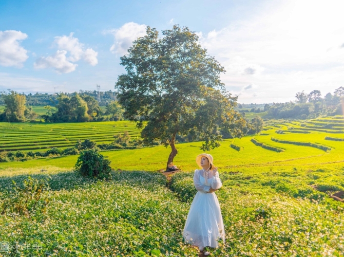 Vietnam Tourist Tân Bình