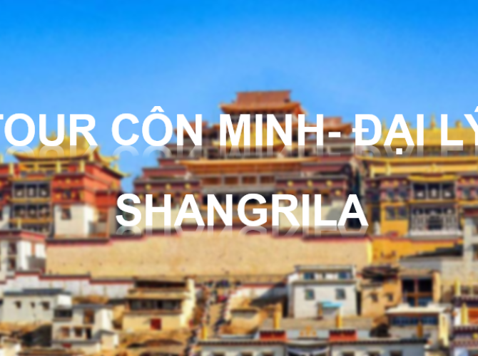 Vietnam Tourist Tân Bình