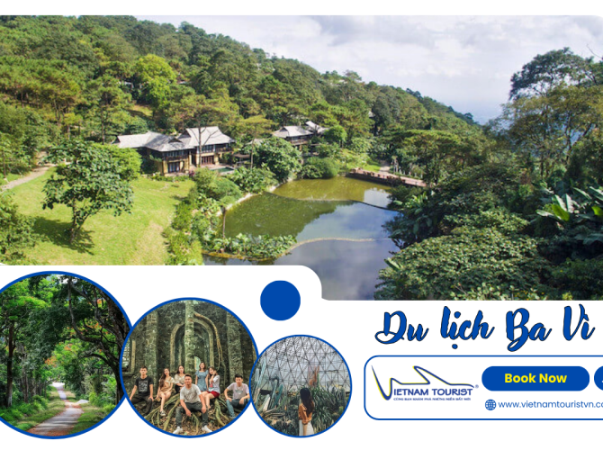 Vietnam Tourist Tân Bình